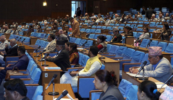 नीति तथा कार्यक्रममाथि सत्तारुढ दलका दुई सांसदको संशोधन प्रस्ताव