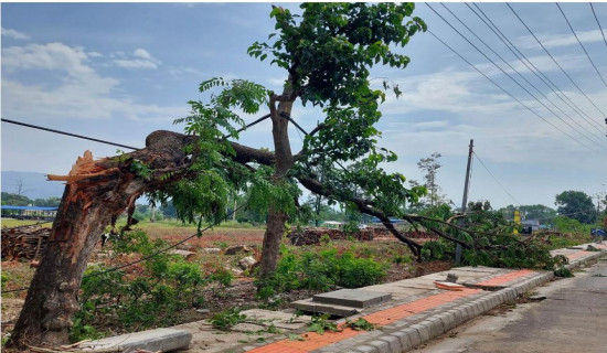 हावाहुरीले छानो भत्किँदा दुई मजदुर घाइते