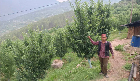 बेपत्ता व्यक्ति २४ वर्षपछि सम्पर्कमा