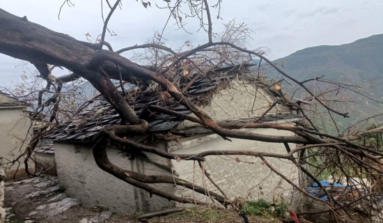 बाजुरामा ठुलो हावाहुरी, घरमा क्षति