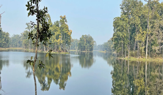 आकर्षक गन्तव्य बिसहजारी ताल