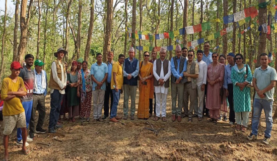 कोलीय गणराज्यको दरबार क्षेत्रको उत्खनन्