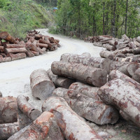 पर्यटन क्षेत्र आर्थिक समृद्धिको खम्बा : मन्त्री किराती