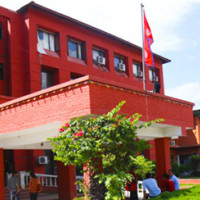 तरुलको व्यापार (फोटो फिचर)