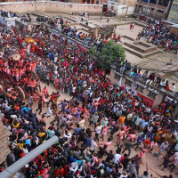 तरुलको व्यापार (फोटो फिचर)