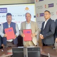 दुई हजारले घट्यो सुनको मूल्य