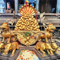 दाउन्नेको चुचुरोमा दाउन्ने देवी (फोटो फिचर)