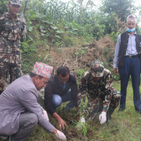 सानेको जन्मदिन