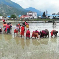 हिमालयन र सिभिलको एकीकृत कारोबार