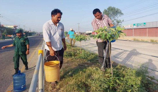 कोहलपुरमा बिरुवा संरक्षण अभियान