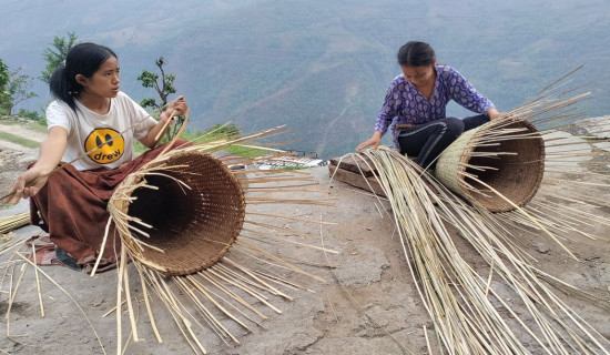 खर्च व्यवस्थापनका लागि डोका थुन्से बुन्दै किशोरीहरु