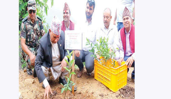 कृषि विकासका लागि तीनै तह आवश्यक