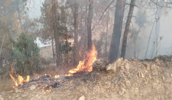 बैतडीका हजारौं हेक्टर वनमा आगलागी