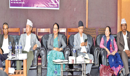 महिला सशक्तीकरणबारे परामर्श