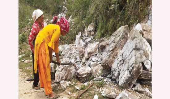 गाउँमै रोजगारी पाउँदा खुसी