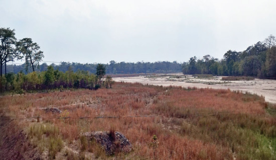 सीमापार संरक्षण कार्यक्रम प्रभावकारी बन्दै